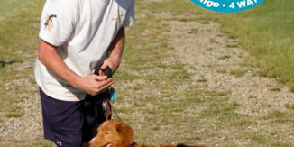 Chip-Phate-Triple-Quad