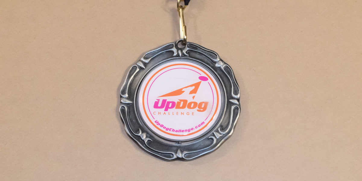 UpDog medal silver
