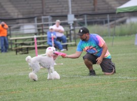 IMG_8961