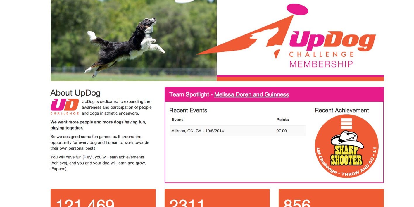 Create and Track your Teams! Dog Sport Competition For Everyone
