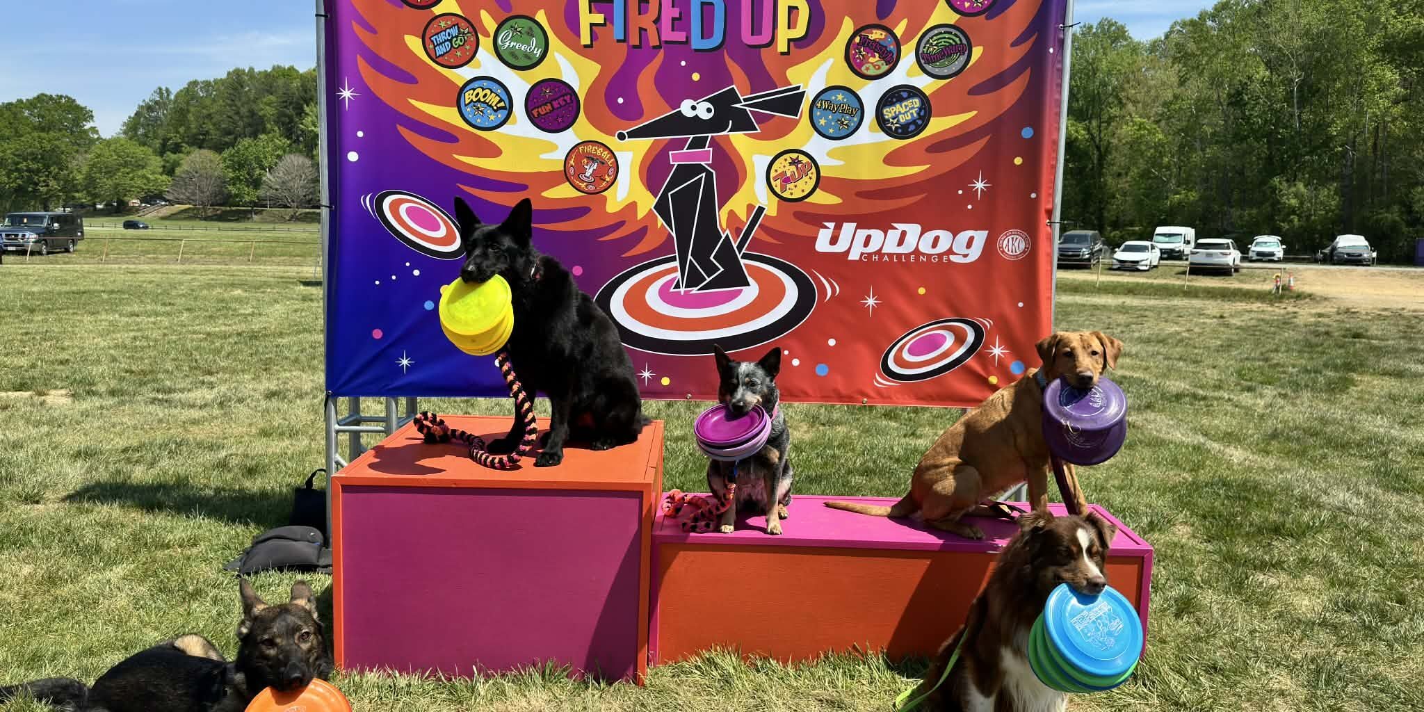 Updif 2026 UpDog in Winston Salem