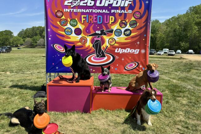 Updif 2026 UpDog in Winston Salem