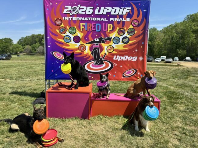 Updif 2026 UpDog in Winston Salem