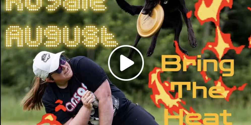 Freestyle Royale – August Final Submissions