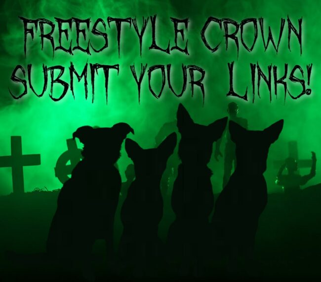FC SUMBIT LINKS